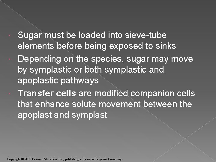 Sugar must be loaded into sieve-tube elements before being exposed to sinks Depending on