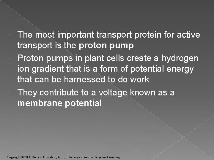 The most important transport protein for active transport is the proton pump Proton pumps