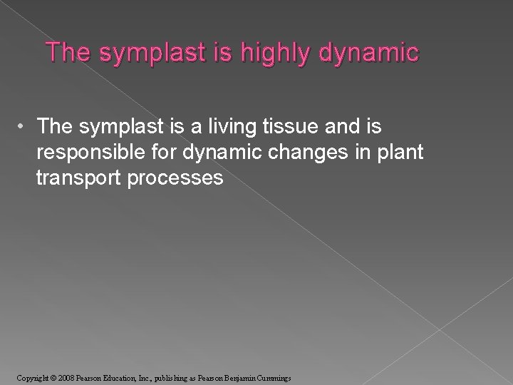 The symplast is highly dynamic • The symplast is a living tissue and is