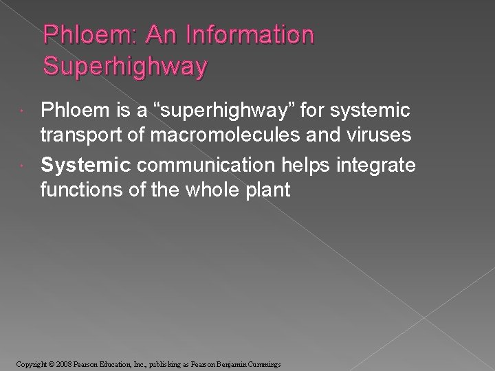 Phloem: An Information Superhighway Phloem is a “superhighway” for systemic transport of macromolecules and
