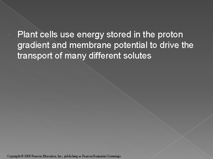  Plant cells use energy stored in the proton gradient and membrane potential to