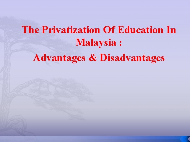 The Privatization Of Education In Malaysia : Advantages & Disadvantages 