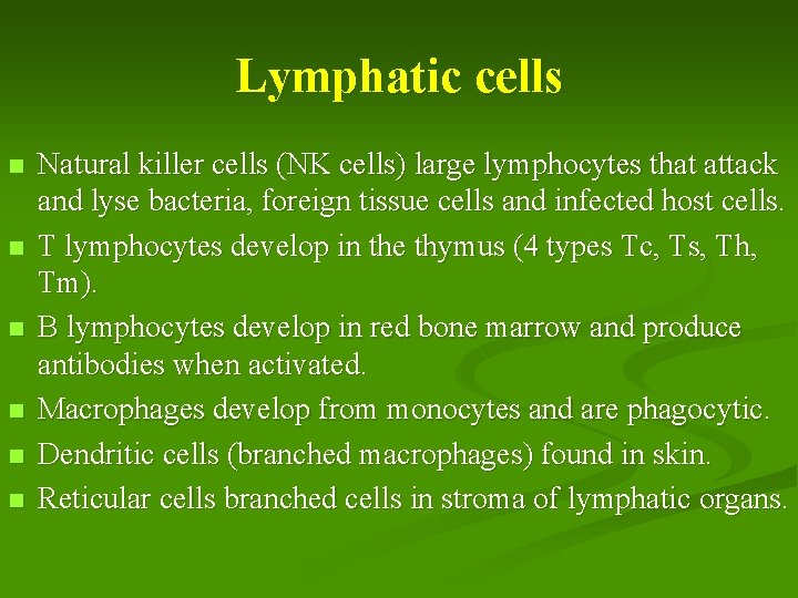 Lymphatic cells n n n Natural killer cells (NK cells) large lymphocytes that attack