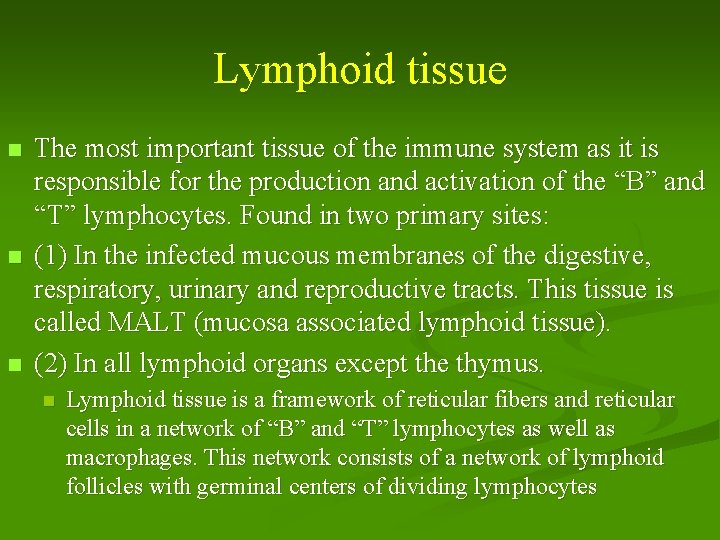 Lymphoid tissue n n n The most important tissue of the immune system as