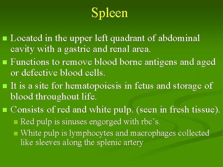 Spleen Located in the upper left quadrant of abdominal cavity with a gastric and