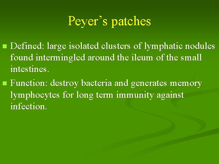 Peyer’s patches Defined: large isolated clusters of lymphatic nodules found intermingled around the ileum