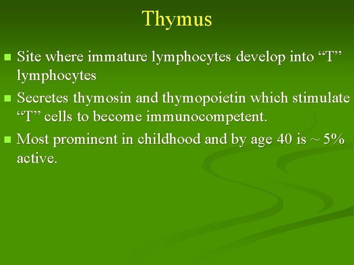 Thymus Site where immature lymphocytes develop into “T” lymphocytes n Secretes thymosin and thymopoietin
