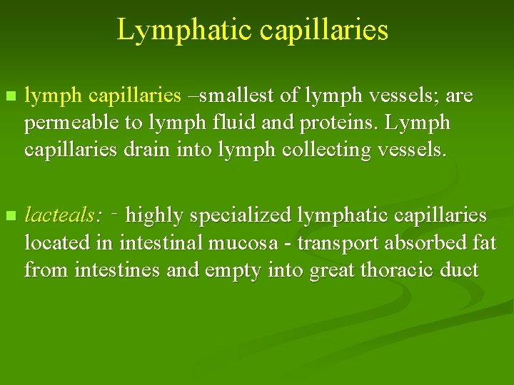 Lymphatic capillaries n lymph capillaries –smallest of lymph vessels; are permeable to lymph fluid