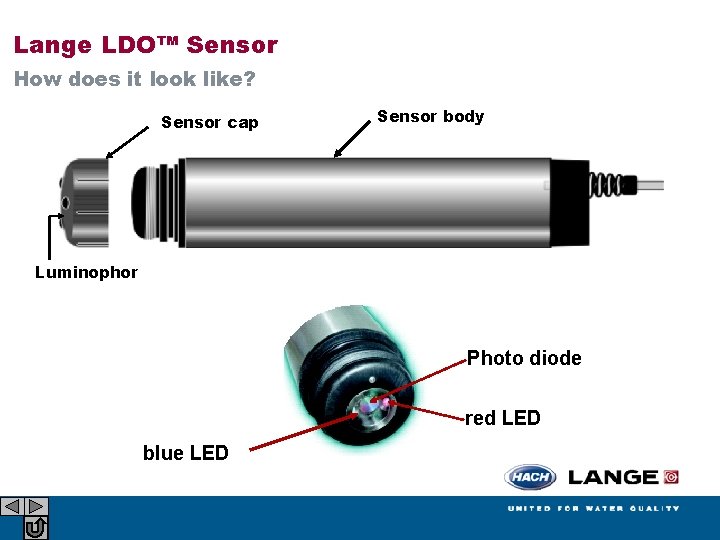 Lange LDO™ Sensor How does it look like? Sensor cap Sensor body Luminophor Photo