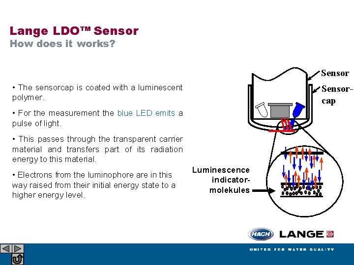 Lange LDO™ Sensor How does it works? Sensor • The sensorcap is coated with