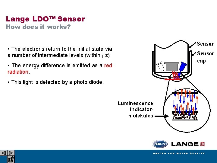 Lange LDO™ Sensor How does it works? Sensor • The electrons return to the