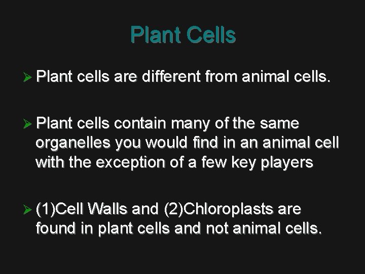 Plant Cells Ø Plant cells are different from animal cells. Ø Plant cells contain