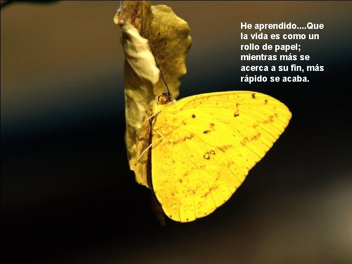 He aprendido. . Que la vida es como un rollo de papel; mientras más