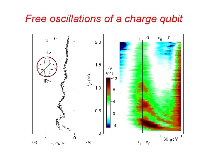 Free oscillations of a charge qubit 