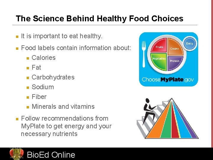 The Science Behind Healthy Food Choices n n It is important to eat healthy.