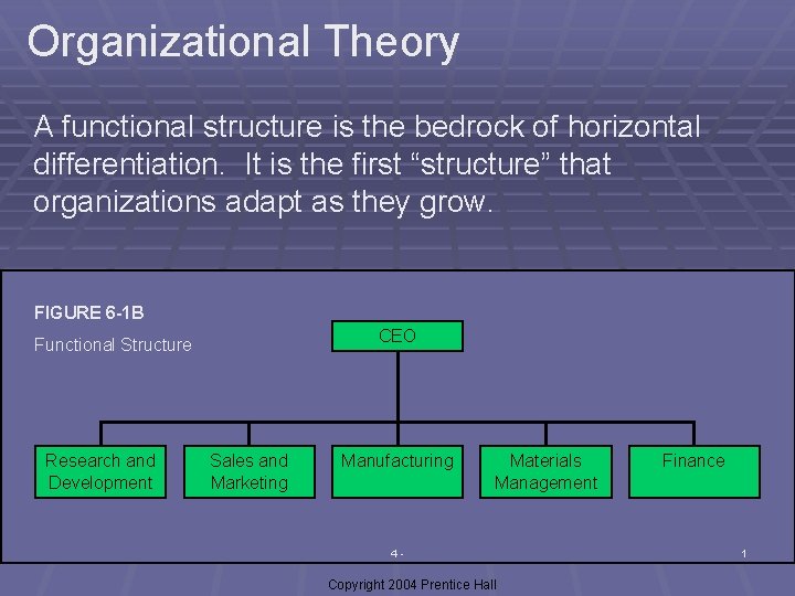 Organizational Theory A functional structure is the bedrock of horizontal differentiation. It is the
