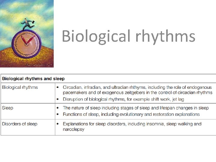 Biological rhythms 
