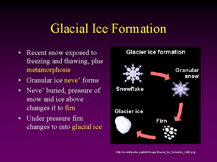 Glacial Ice Formation • Recent snow exposed to freezing and thawing, plus metamorphosis •