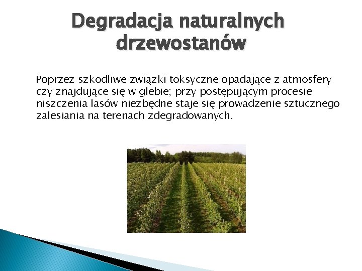 Degradacja naturalnych drzewostanów Poprzez szkodliwe związki toksyczne opadające z atmosfery czy znajdujące się w