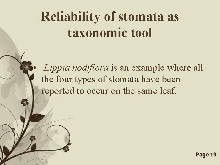 Reliability of stomata as taxonomic tool • Lippia nodiflora is an example where all