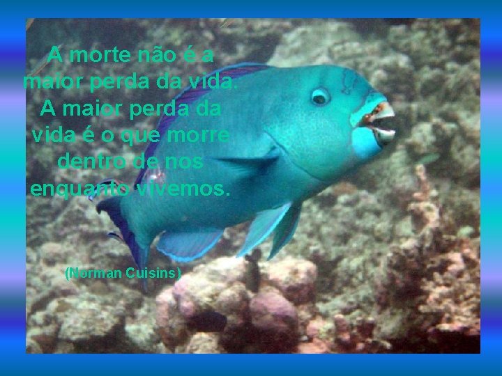 A morte não é a maior perda da vida. A maior perda da vida