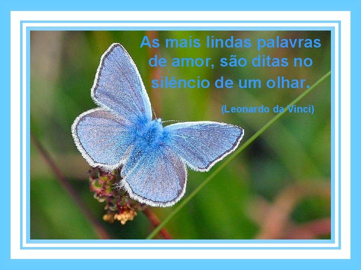 As mais lindas palavras de amor, são ditas no silêncio de um olhar. (Leonardo