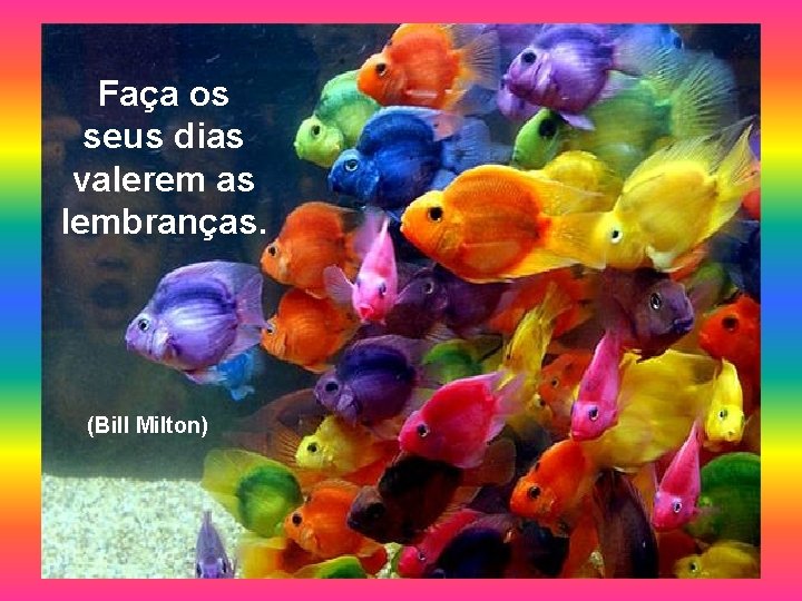 Faça os seus dias valerem as lembranças. (Bill Milton) 