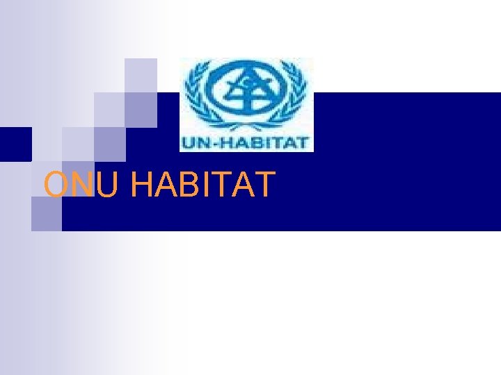 ONU HABITAT 