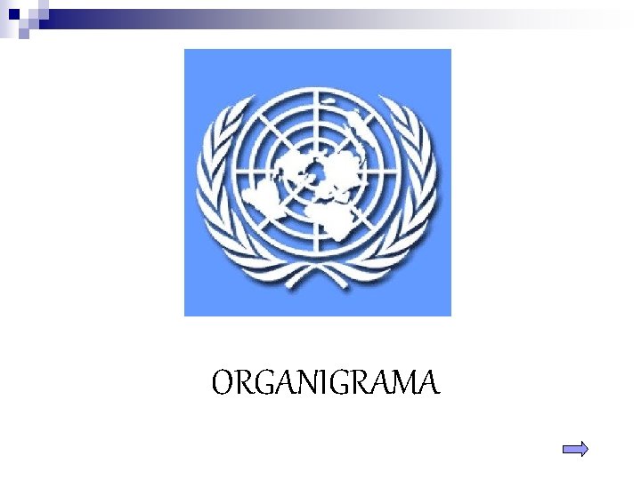 ORGANIGRAMA 