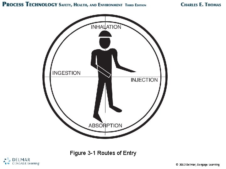 Figure 3 -1 Routes of Entry © 2012 Delmar, Cengage Learning 