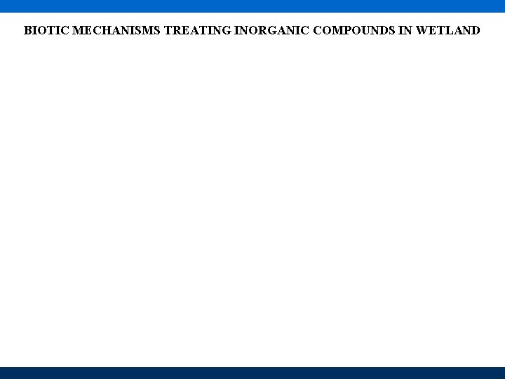BIOTIC MECHANISMS TREATING INORGANIC COMPOUNDS IN WETLAND 