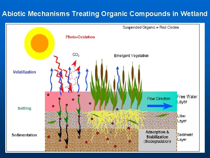 Abiotic Mechanisms Treating Organic Compounds in Wetland 