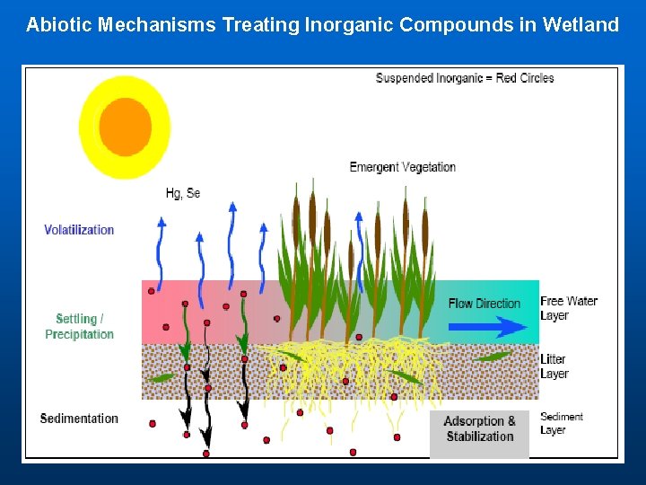 Abiotic Mechanisms Treating Inorganic Compounds in Wetland 