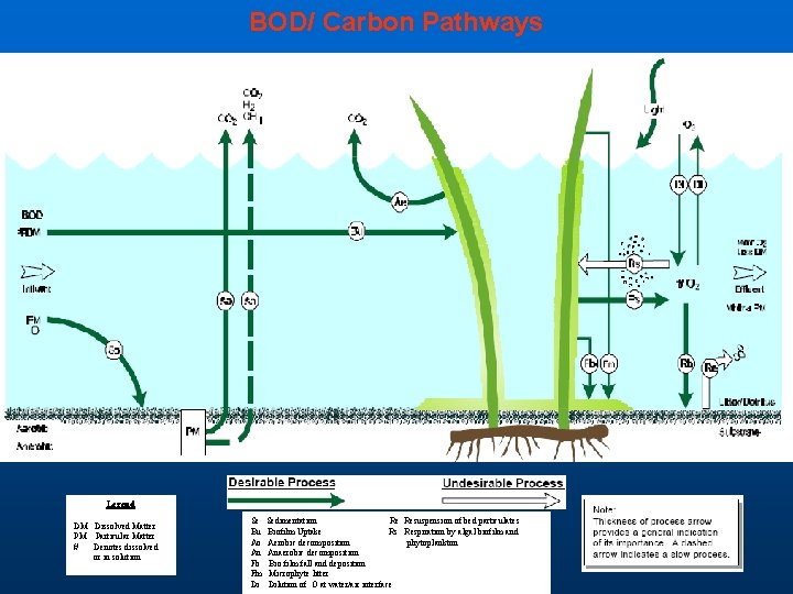 BOD/ Carbon Pathways Legend DM Dissolved Matter PM Particular Matter # Denotes dissolved or