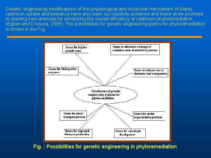Genetic engineering modifications of the physiological and molecular mechanism of plants, cadmium uptake and