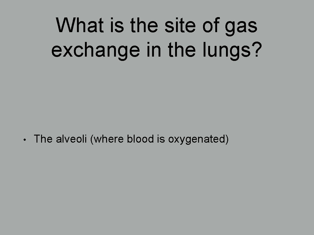 What is the site of gas exchange in the lungs? • The alveoli (where