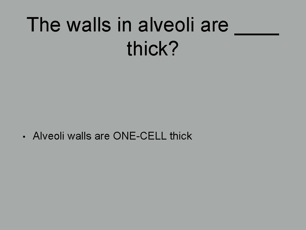 The walls in alveoli are ____ thick? • Alveoli walls are ONE-CELL thick 
