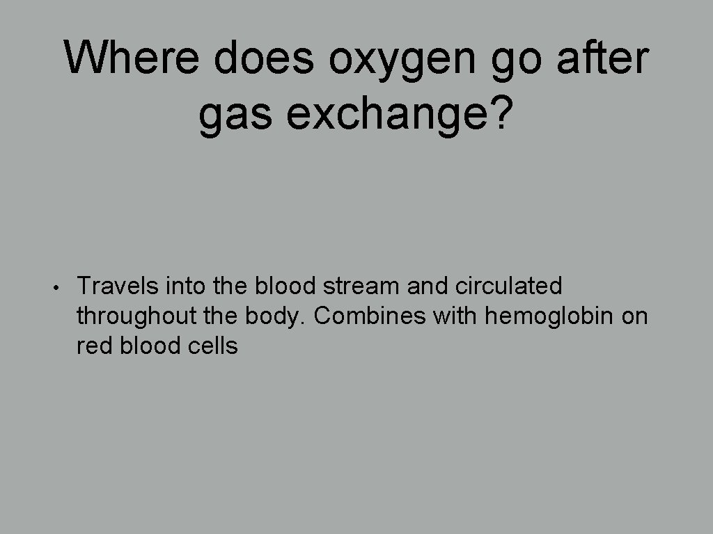 Where does oxygen go after gas exchange? • Travels into the blood stream and