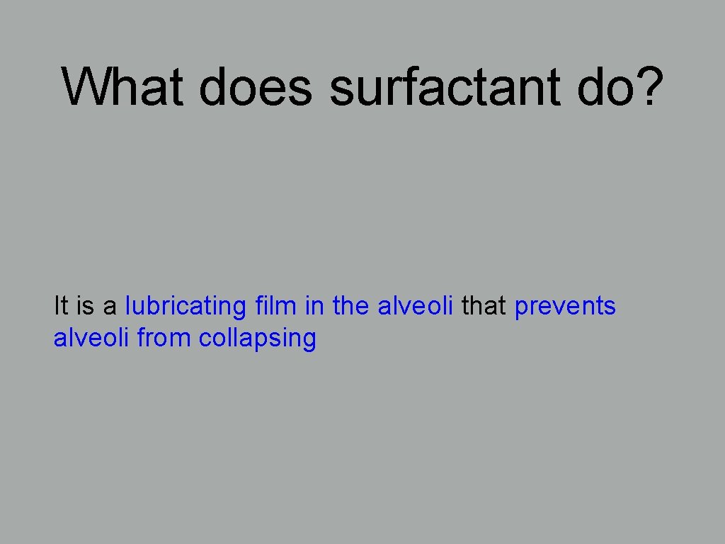 What does surfactant do? It is a lubricating film in the alveoli that prevents