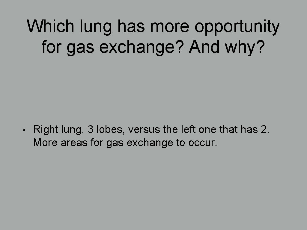 Which lung has more opportunity for gas exchange? And why? • Right lung. 3