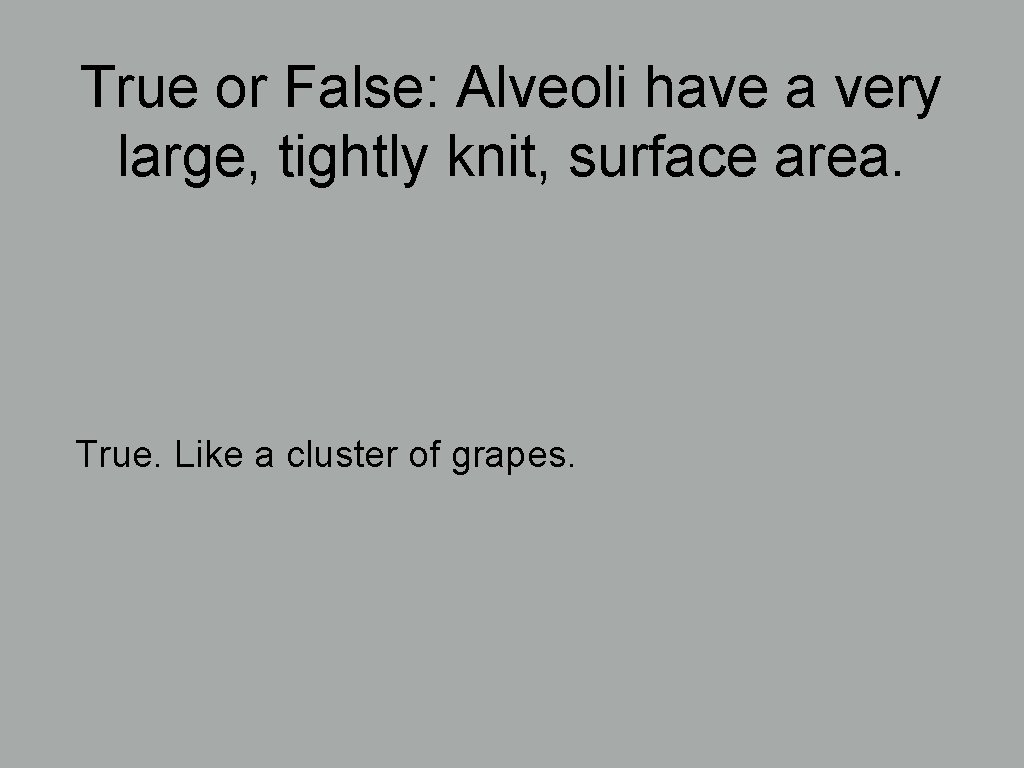 True or False: Alveoli have a very large, tightly knit, surface area. True. Like