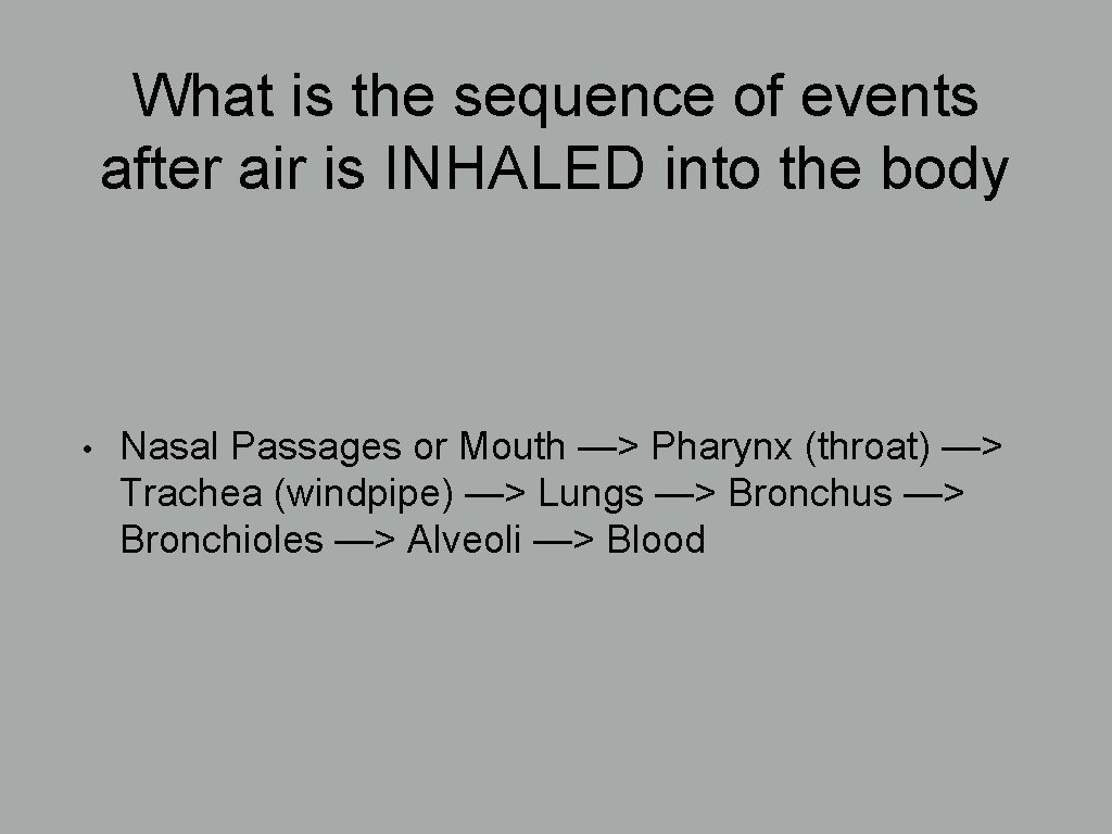 What is the sequence of events after air is INHALED into the body •