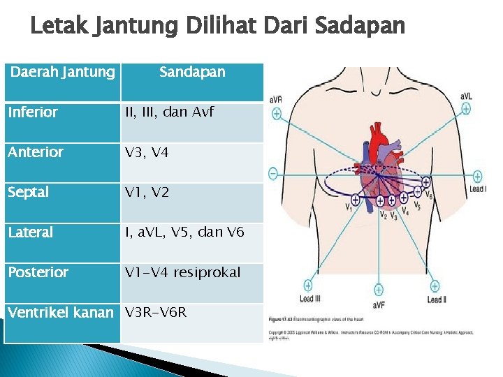 Letak Jantung Dilihat Dari Sadapan Daerah Jantung Sandapan Inferior II, III, dan Avf Anterior