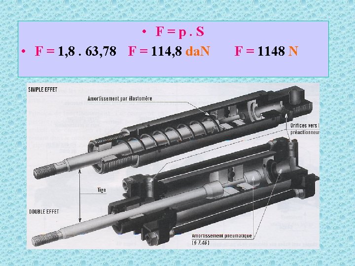  • F=p. S • F = 1, 8. 63, 78 F = 114,