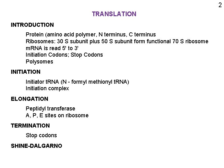 2 TRANSLATION INTRODUCTION Protein (amino acid polymer, N terminus, C terminus Ribosomes: 30 S