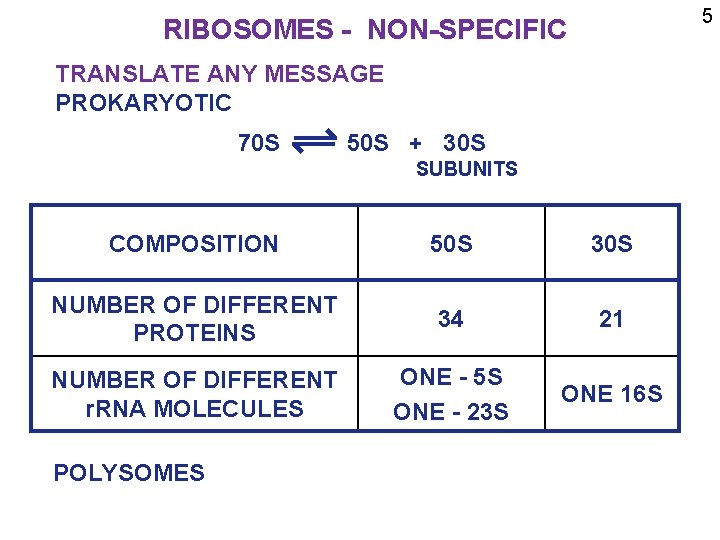 5 RIBOSOMES - NON-SPECIFIC TRANSLATE ANY MESSAGE PROKARYOTIC 70 S 50 S + 30