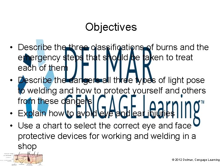 Objectives • Describe three classifications of burns and the emergency steps that should be