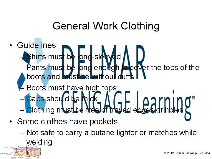 General Work Clothing • Guidelines – Shirts must be long-sleeved – Pants must be