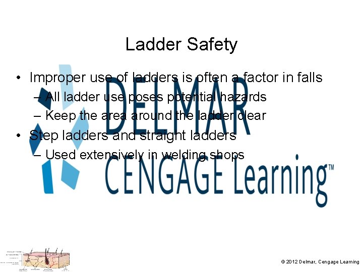 Ladder Safety • Improper use of ladders is often a factor in falls –