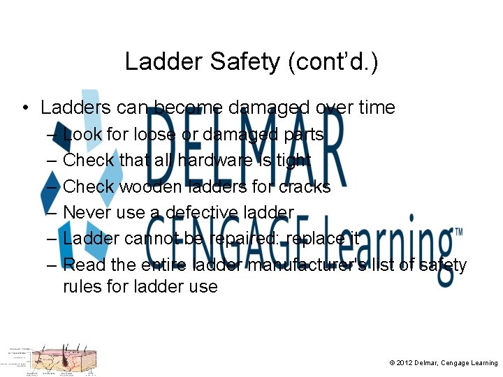 Ladder Safety (cont’d. ) • Ladders can become damaged over time – Look for